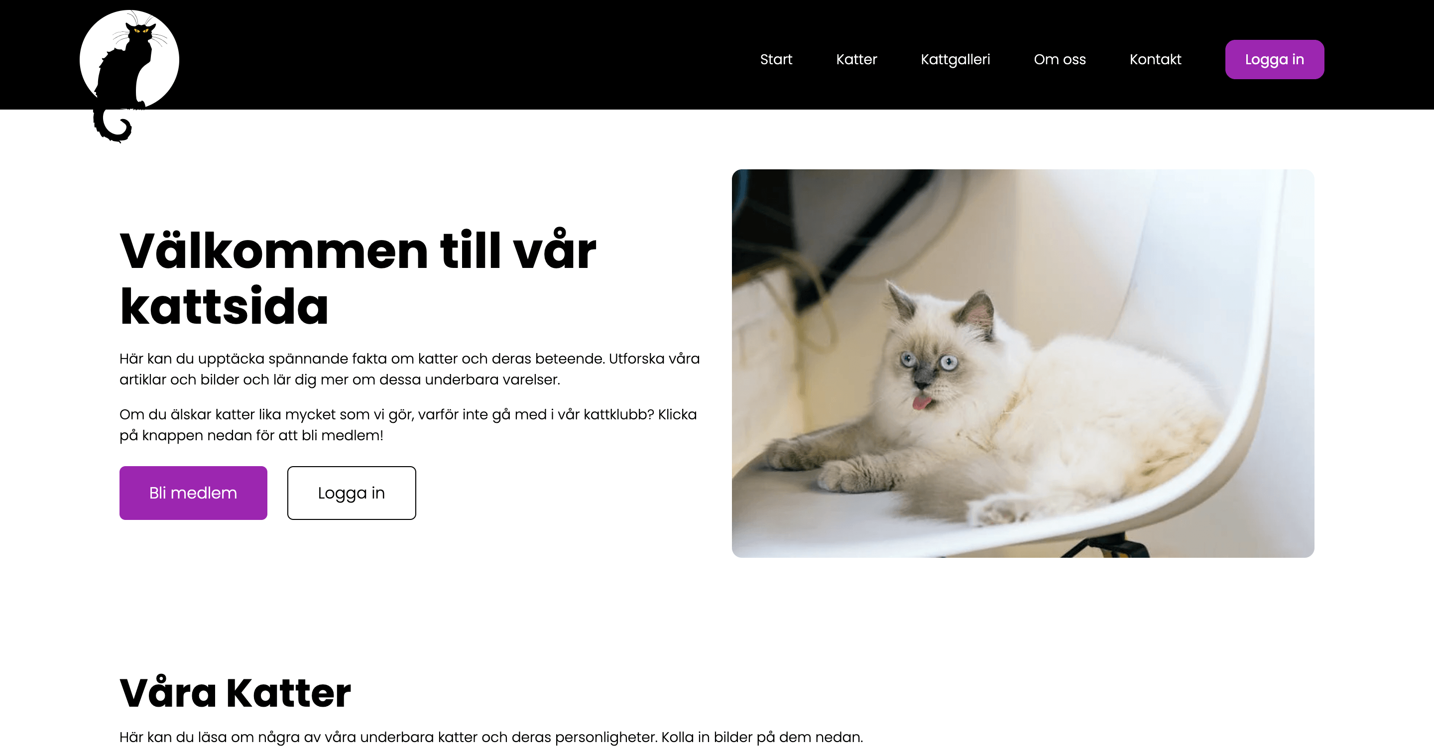 Cats Website